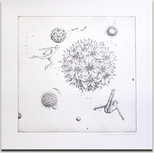 Christopher Winter, "Cosmic Flora", s/w Radierung, 2009, Auflage 25 Exemplare, nummeriert, datiert und signiert, 50 cm x 50 cm auf 74 cm x 74 cm € 580,